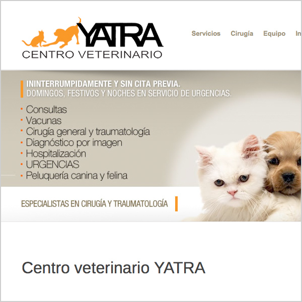 Creación website – YATRA